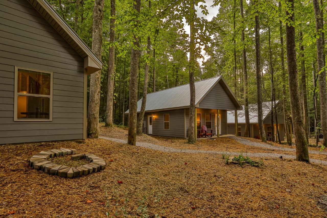 Villas At Gingershack Farms Ellijay Extérieur photo